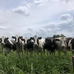 Oda ve Kahvaltı Heerlijk Gaanderhei Gaanderen