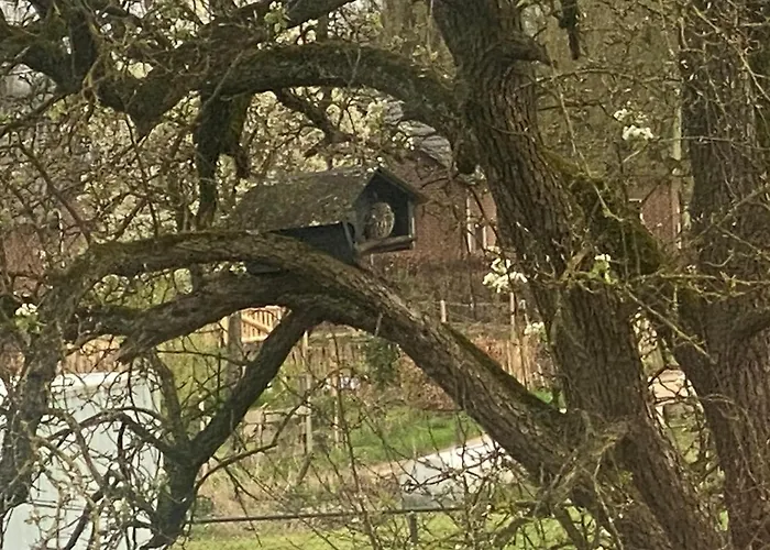 Heerlijk Gaanderhei 4* Gaanderen