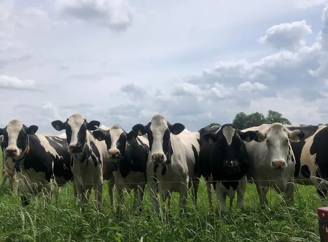 Bed & Breakfast Heerlijk Gaanderhei Gaanderen