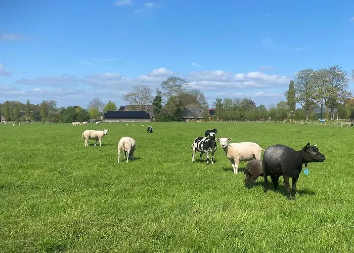 Heerlijk Gaanderhei Alojamento de Acomodação e Pequeno-almoço Gaanderen