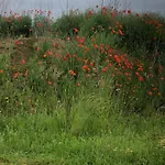 Bed & Breakfast Heerlijk Gaanderhei 4*