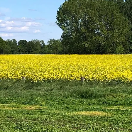 Heerlijk Gaanderhei Frühstückspension
