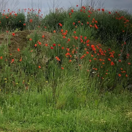 Frühstückspension Heerlijk Gaanderhei 4*