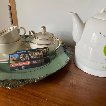 Heerlijk Gaanderhei 4* Gaanderen