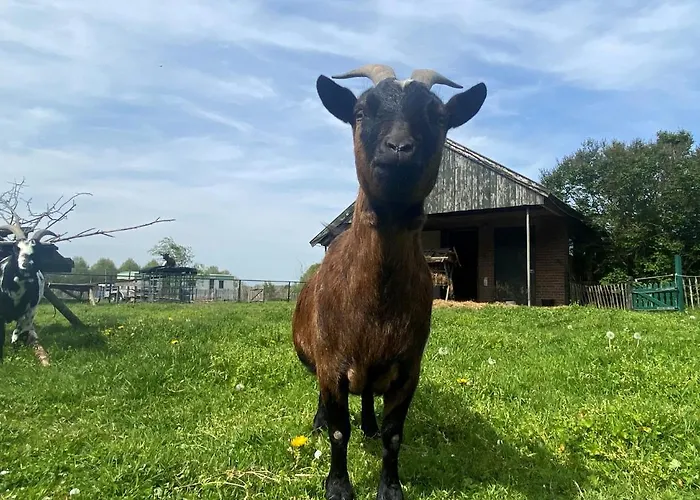 Heerlijk Gaanderhei ベッド・アンド・ブレックファスト Gaanderen