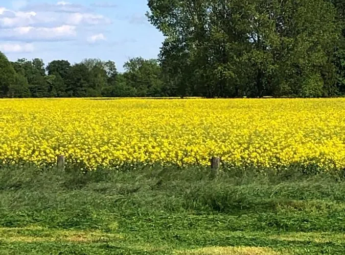 Heerlijk Gaanderhei ベッド・アンド・ブレックファスト