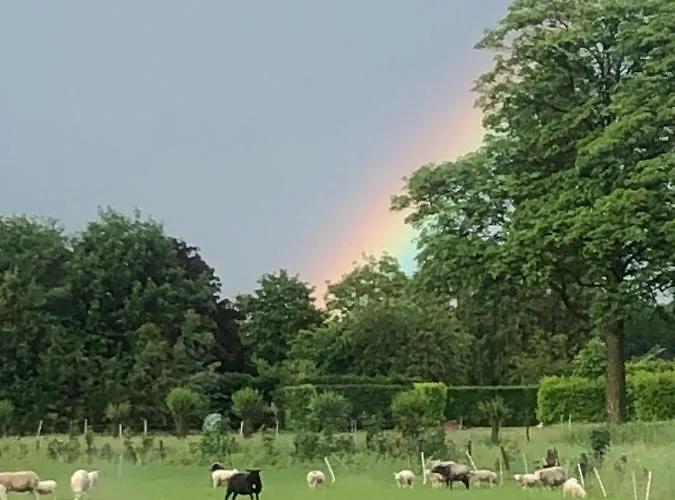 Nocleg ze śniadaniem Heerlijk Gaanderhei